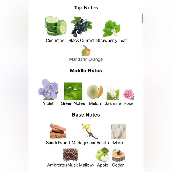 Victoria Secret Angel Dream perfume - Picture 7 of 7